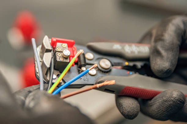 Best Home Electrical Repair  in Carson City, MI