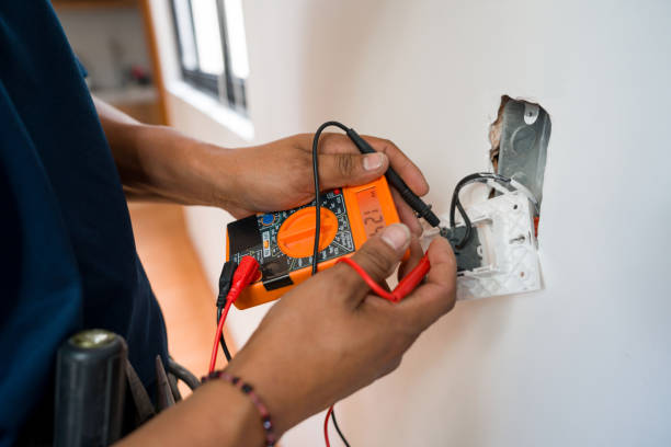 Best Electrician for Home Renovation  in Carson City, MI