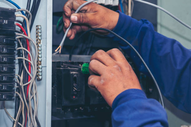 Best Best Electricians Near Me  in Carson City, MI