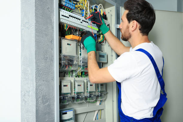 Best Electrical Wiring Services  in Carson City, MI