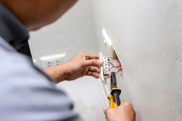 Best Electrical Installation Contractor  in Carson City, MI