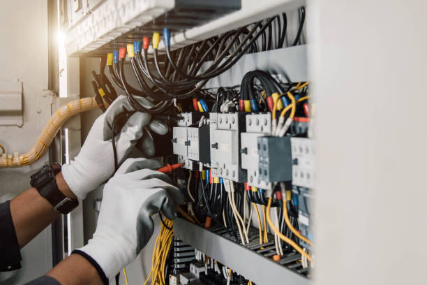 Best Licensed Electrician  in Carson City, MI