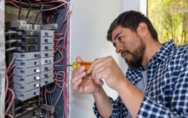 Best Home Electrical Repair  in Carson City, MI